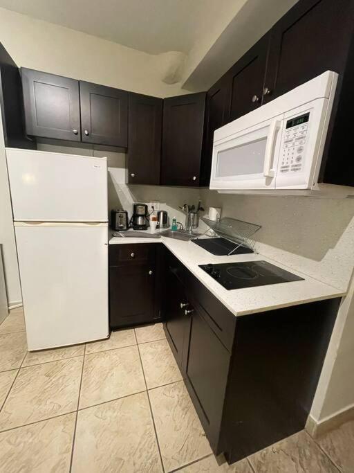 Charming Studio City View! Miami Beach Exteriör bild